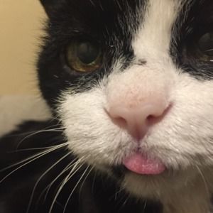 Meet your Posher, James